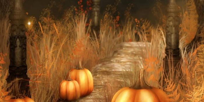 1071x960 Pumpkin Path wallpaper by sanmanu - 28 - Free on ZEDGE™