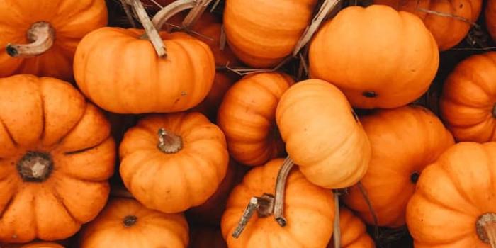 720x1280 cute, beautiful, wallpaper and colors - image #6408192 on Favim.com