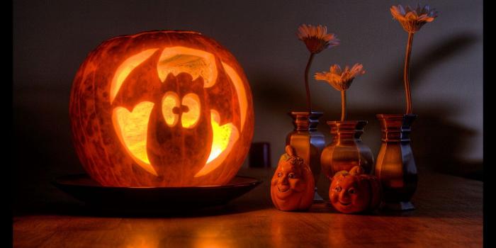 1680x1050 Funny Halloween Pumpkin Ultra HD Desktop Background Wallpaper for