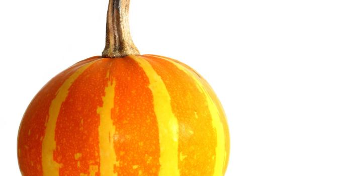 1920x1646 Pumpkin isolated on white background beautiful pumpkin on white