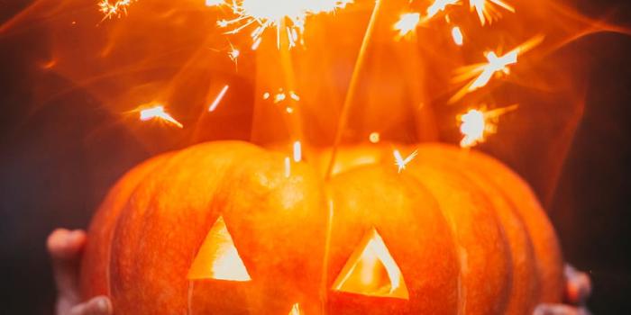 910x1365 Pumpkin long exposure halloween lights 1080P, 2K, 4K, 5K HD