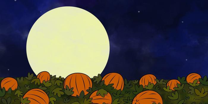 1920x1080 Great Pumpkin Wallpaper (60+ images)