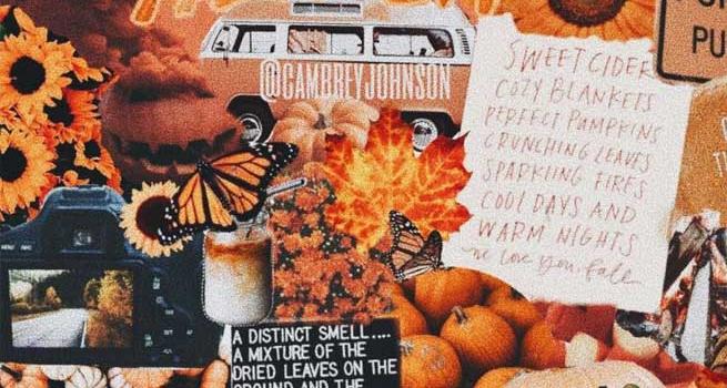 655x1288 Beautiful autumn - Idea Wallpapers , iPhone Wallpapers,Color Schemes