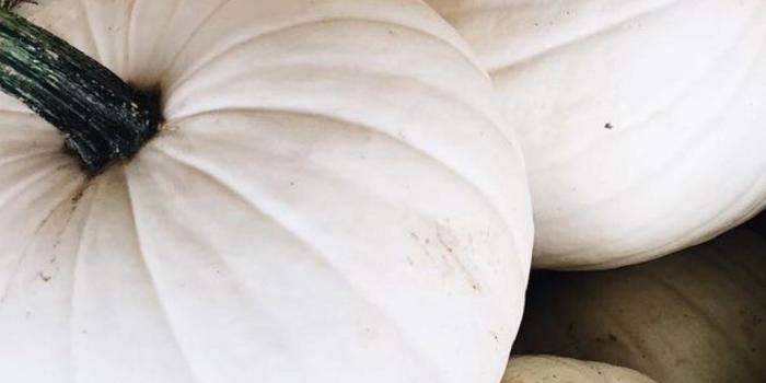 1574x2800 Mandy Brimhall on Mobile Phone | White pumpkins, Iphone