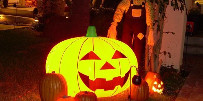 1019x791 Most beautiful Halloween wallpaper of the year