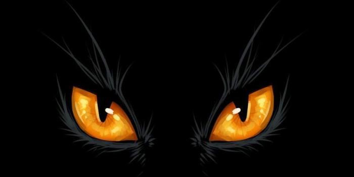 900x1600 Black Cat Eyes iPhone Wallpaper | Black phone wallpaper, Eyes
