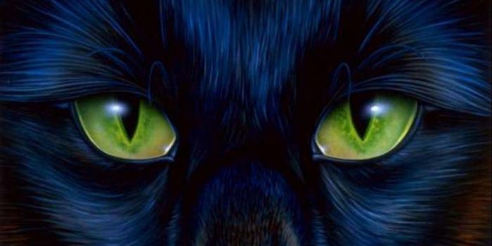 2000x1200 Green Cats Eyes - HD Wallpapers