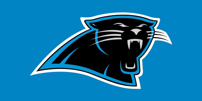 1920x1080 Carolina Panthers Logo Wallpaper HD