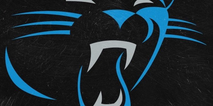 946x2048 Carolina Panthers Wallpapers - Top Free Carolina Panthers
