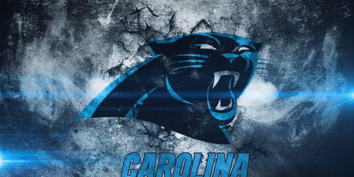 1024x819 49+] Panthers Logo Wallpaper on WallpaperSafari