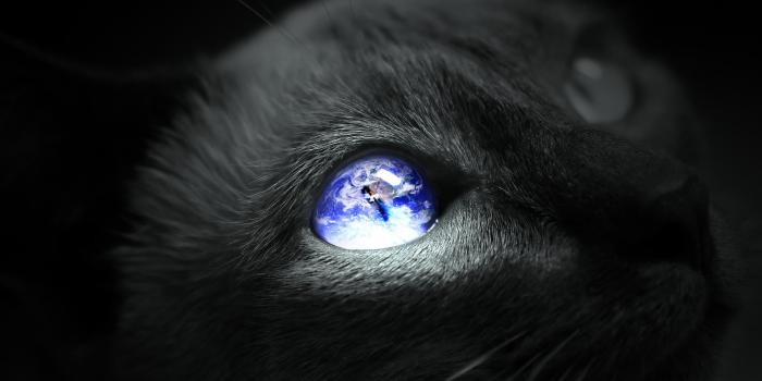 2560x1600 46 Earth Cat eye Wallpapers Pictures Photos Images 1342