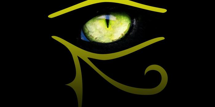 2160x3840 Free stock photo of black background, black wallpaper, cat eye