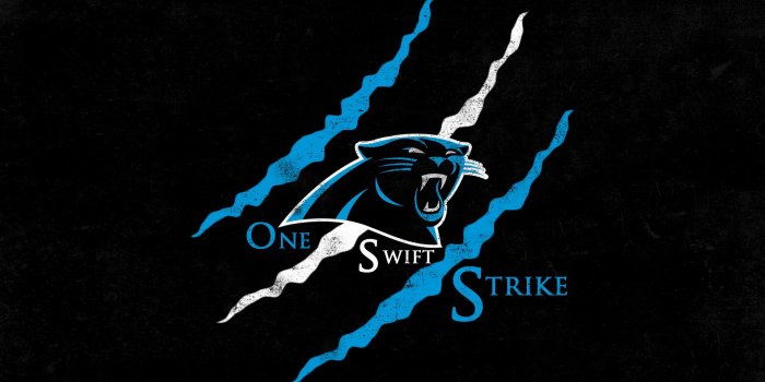 1920x1080 49+] Panthers Football Wallpaper on WallpaperSafari