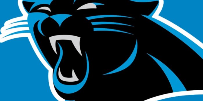 1080x1920 Schedule Atlanta Falcons Wallpaper For Android - Nfl Carolina