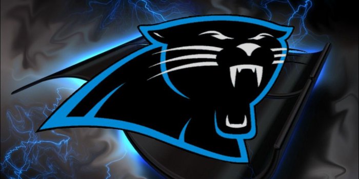 1024x768 Free download real panthers Page 7 [1024x768] for your Desktop