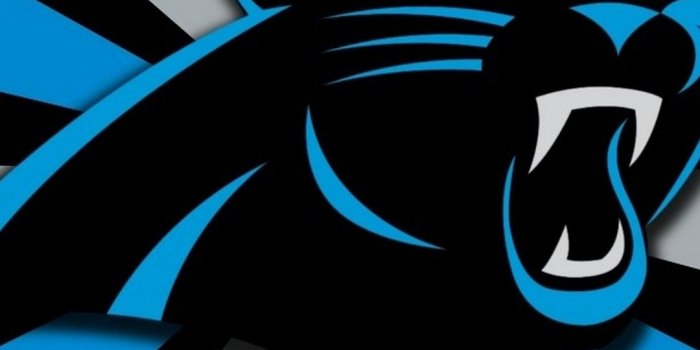 1080x1920 Carolina Panthers Iphone 6 Plus Wallpaper With High-resolution