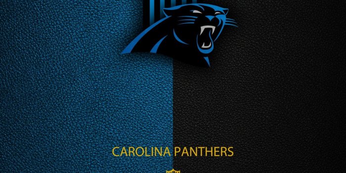 1332x850 Wallpaper NFL, Carolina Panthers, sport, wallpaper, logo images