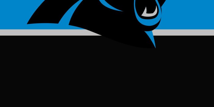 1440x2560 Panthers Screensavers posted by Michelle Johnson