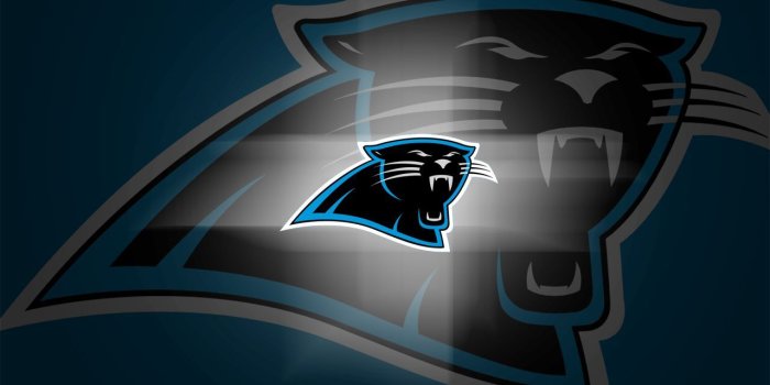 1280x1024 Panthers Football | Arkane NFL Wallpapers: Carolina Panthers - Vol