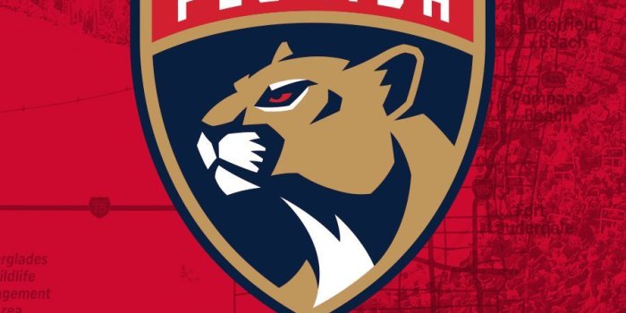 900x1600 Florida Panthers Wallpapers - Top Free Florida Panthers
