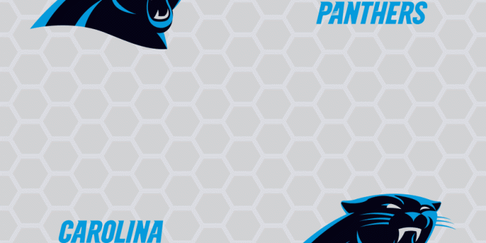 900x900 Carolina Panthers: Logo Pattern (Gray) - Officially Licensed