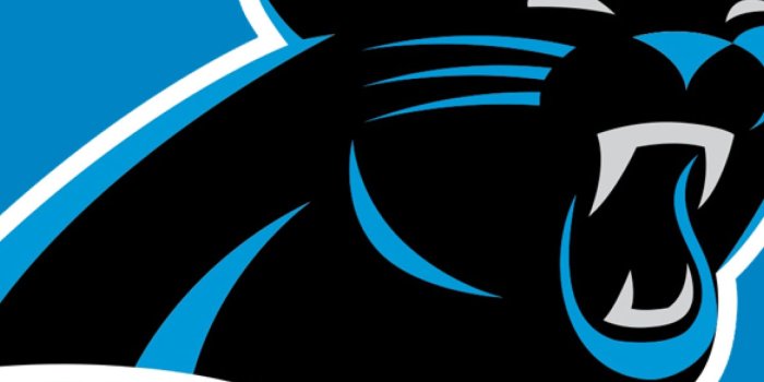 1440x2960 1440x2960 carolina panthers, american football, logo Samsung