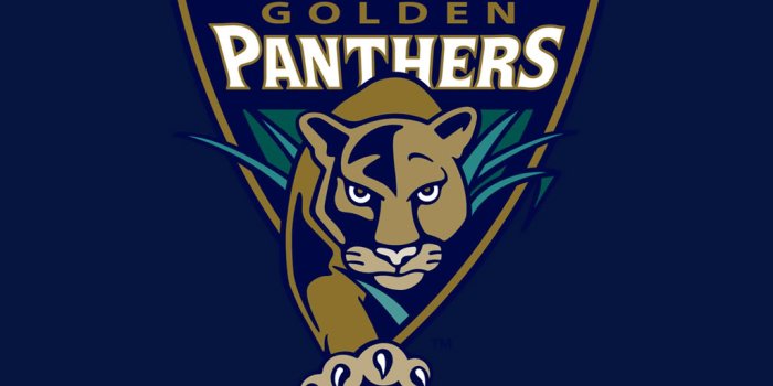1024x768 Wallpaper Panther Logo Graphics Code | Wallpaper Panther Logo