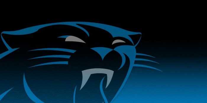 1080x1920 Carolina Panthers Iphone Wallpaper Home Screen With - Carolina