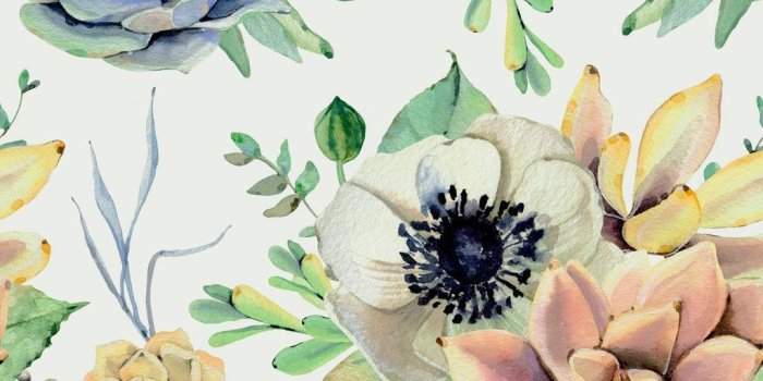 1024x1024 Watercolor Succulent Wallpaper at PaintingValley.com | Explore