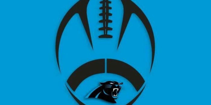 736x1309 22007 panthers football wallpaper