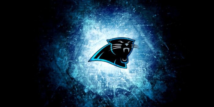 1164x744 Hd Wallpaper Carolina Panthers For Desktop Background | View