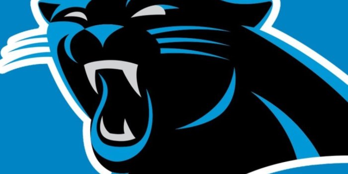 1024x768 Schedule Atlanta Falcons Wallpaper For Android - Nfl Panthers Logo