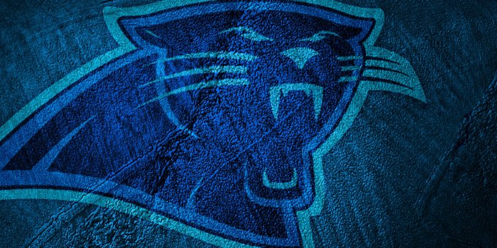 2560x1600 carolina panthers wallpaper - hdwallpaper20.com