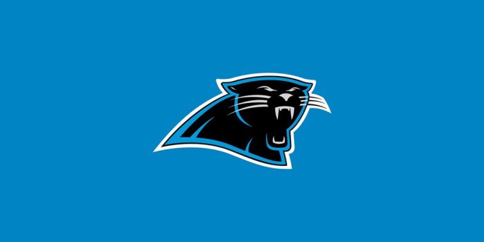 1024x1024 49+] Carolina Panthers iPad Wallpaper on WallpaperSafari