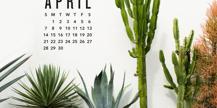 1979x1536 April 2019 Calendar Wallpaper