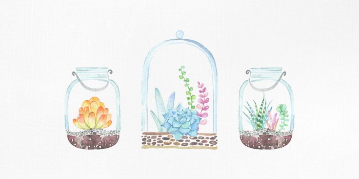 1920x1080 Succulent Wallpapers (51+ images)