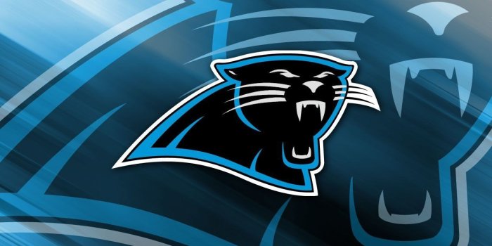 1280x1024 Carolina Panthers Wallpaper and Background Image | 1280x1024 | ID