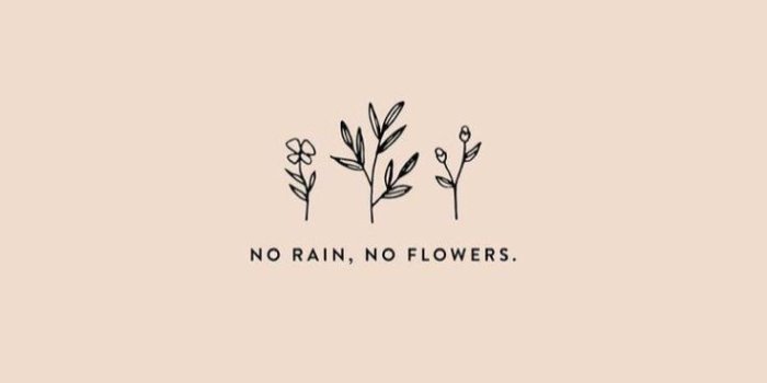 736x1309 no rain, no flowers | Woorden citaten, Achtergronden, Achtergrond