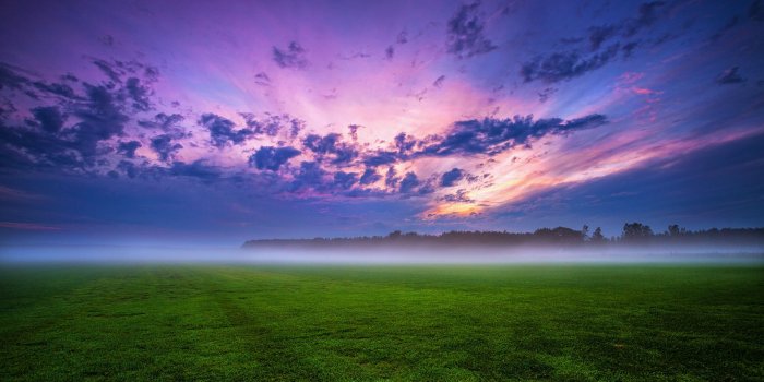 3840x2160 Fresh, Fog,germany, High Definition, Sky, Forest, Amazing