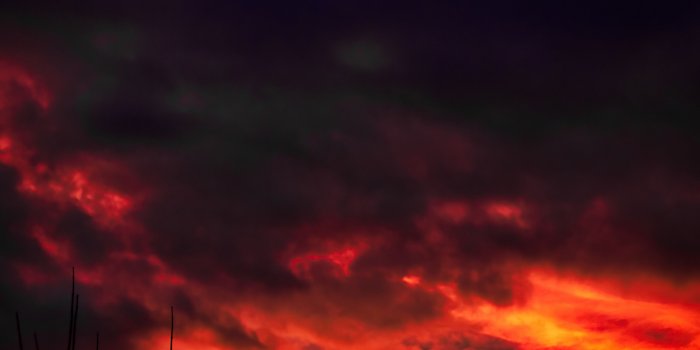 3456x4541 branches sky sunset clouds High Quality Wallpapers,High Definition