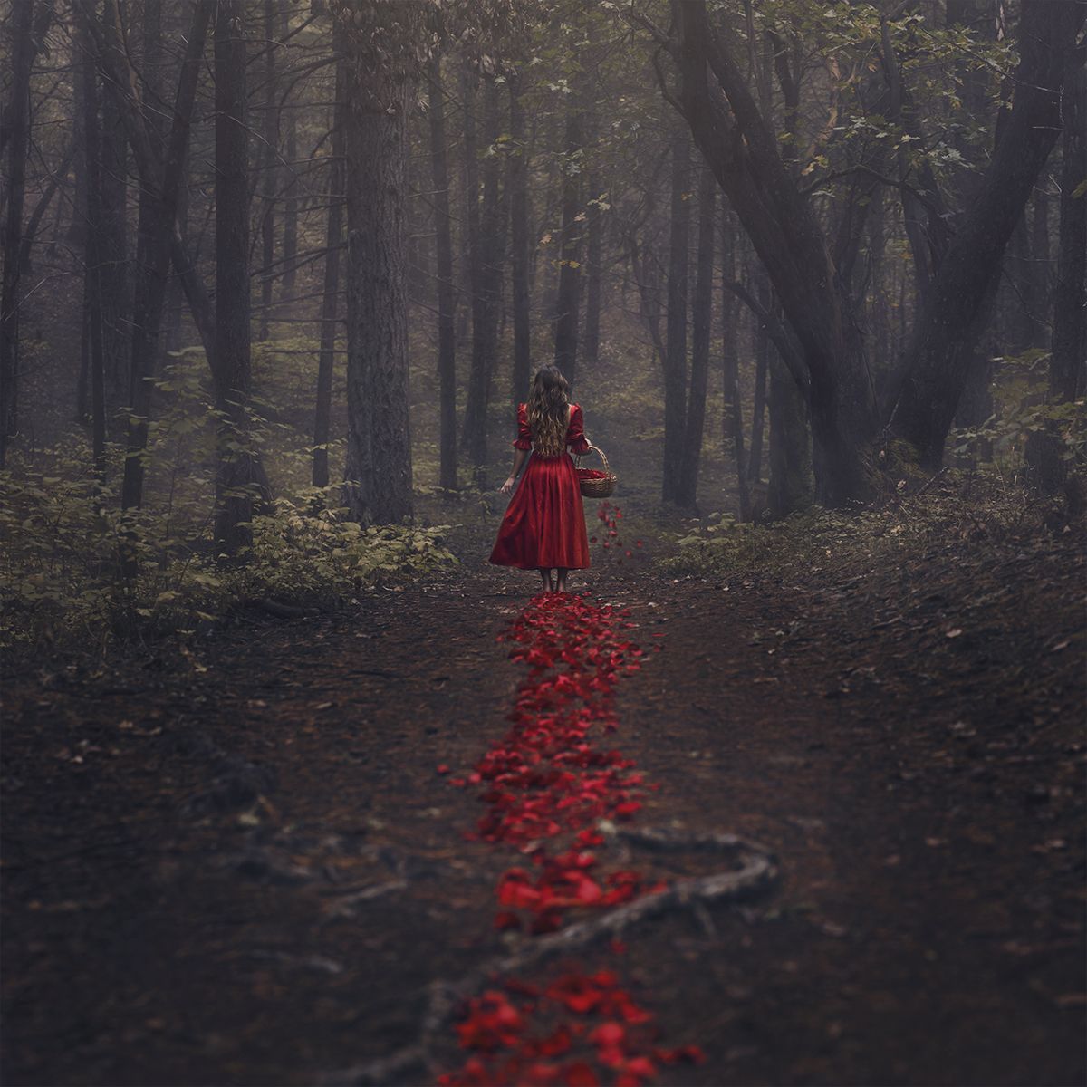 1200x1200 Fairy tale - Dark Romantics Photo (37990790) - Fanpop