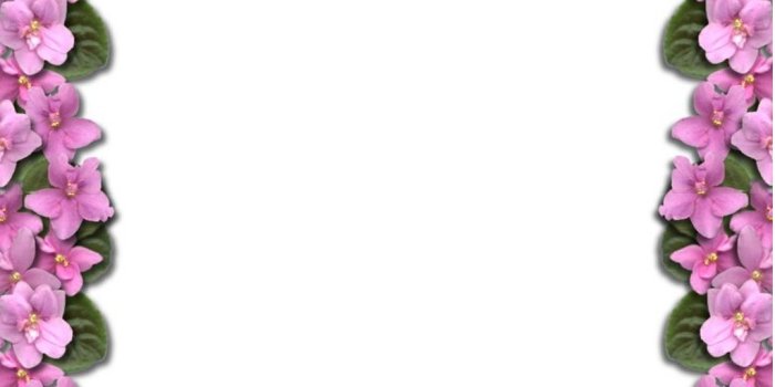 1024x768 flower wall paper border - Panera