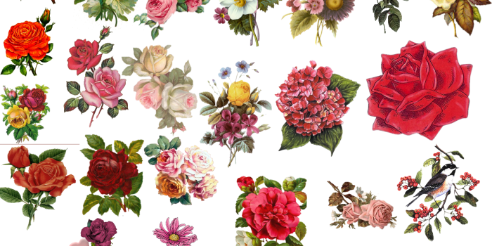 1600x1200 Vintage Flower Clipart Purple