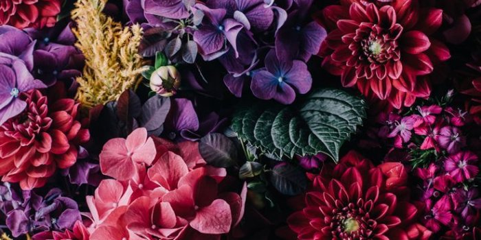 736x1308 Vintage Flowers Wallpaper posted by Ethan Sellers
