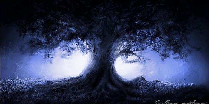 1920x1080 Midnight tree HD Wallpaper | Background Image | 1920x1080 | ID