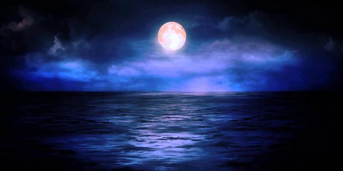 1920x1080 Best 51+ Midnight Blue Backgrounds for Desktop on HipWallpaper