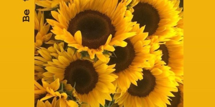 750x1334 Sunflower Yellow Tumblr Aesthetic Wallpapers - Top Free Sunflower