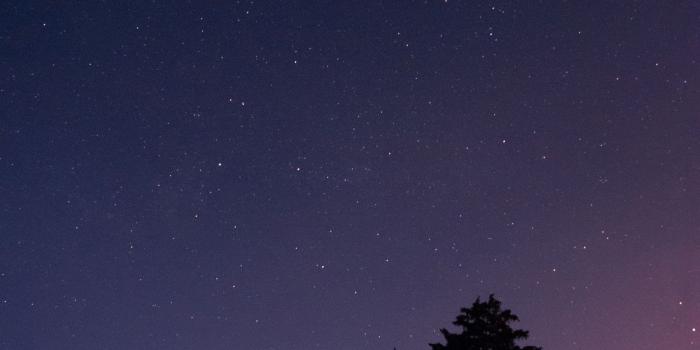 1920x2869 HD Forest Night Sky Wallpaper · #7634 · Wallpapers.io