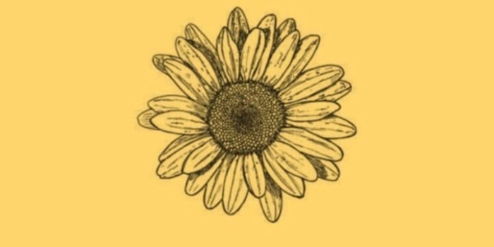 720x1280 Aesthetic Yellow Flower Drawings