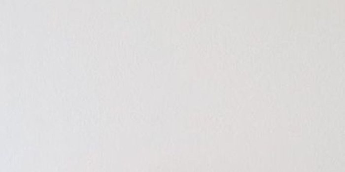 1000x1900 Wallpapers — Yellow flowers wallpapers! Please like or reblog...